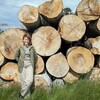 Enorma bokstammar höggs ned på Morlanda med hjälp av Sydved eftersom de skymde delar av det betydelsefulla ekbeståndet. Annie jobbar för att både bevara viktiga naturvärden och producera virke.