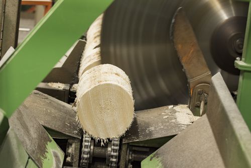 Aspstockarna barkas och kapas till kubbar.