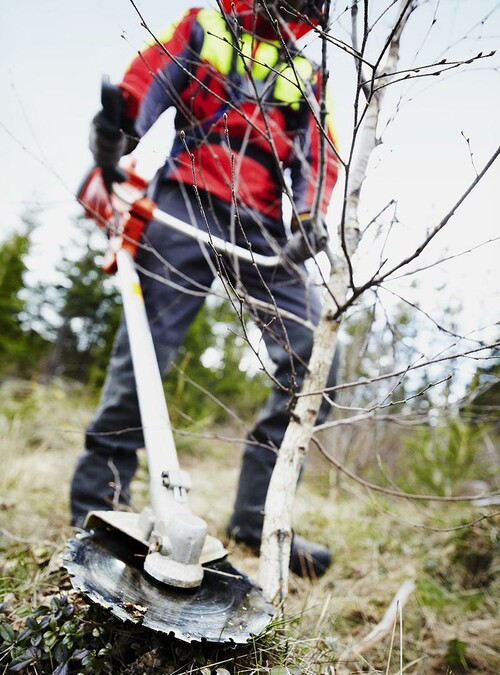 Ny tjänst från Sydved, beställ din röjning direkt från webben.