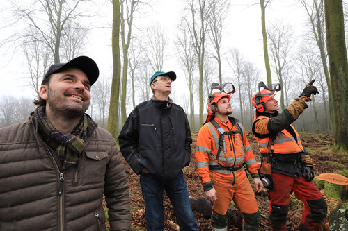 Sydvedare Charlie Persson, skogsägare Peter Lundström samt manuellhuggarna Johan Nygren och Roger Aldenhamn ser fram emot att få se bokföryngringen utvecklas efter ljushuggningen.