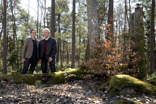 Utmed byvägen har Maria och Stefan Olsson gynnat ädellövet medan barrskogen dominerar mossen längre in. Att lämna död ved kvar i skogen är inte svårt när det blir så här vackert, tycker Stefan.
