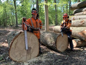 Sydveds manuellhuggare Robin Rindälv och Ola Danielsson.