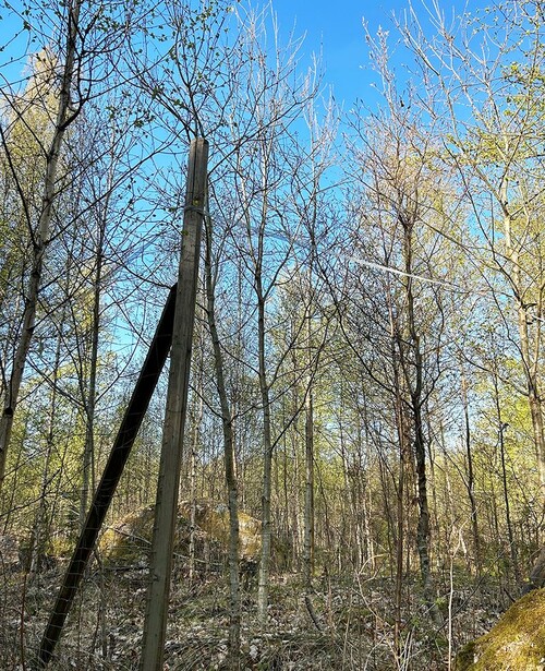 5 ekar i varje hägn, vissa ekar är större än andra vilket underlättar valet av huvudstammar.