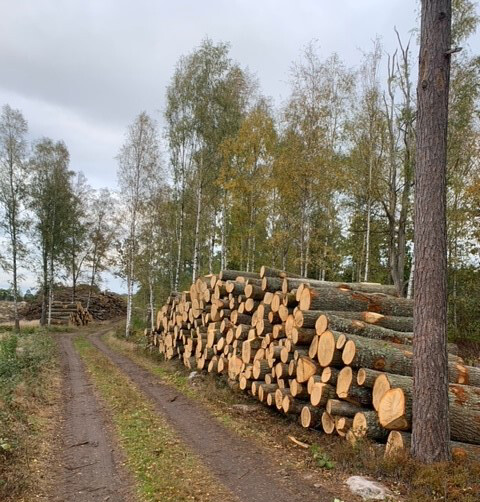 Här gömmer sig en diamantstock.