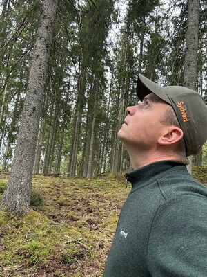 Tittar på en slutavverkning.