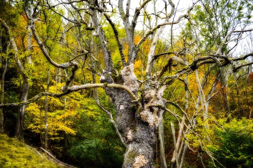 Foto: David Söderlind