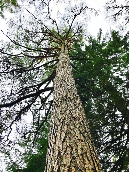 Foto: Anders Ehrenström