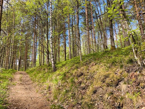 Foto: Annsofie Öhman