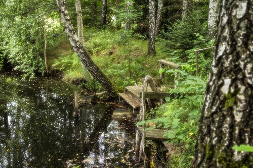 Foto: Örjan Henriksson