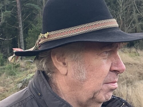 En fokuserad Ingemar