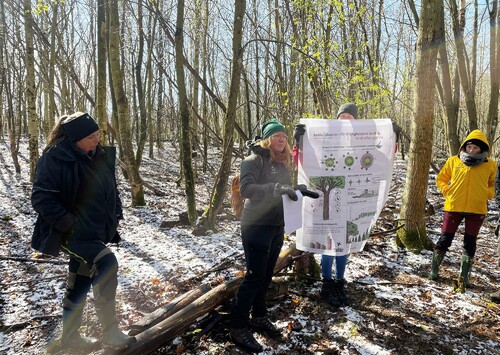 Föreläsning om hur man bäst gynnar evighetsträd av ek i ett bestånd.