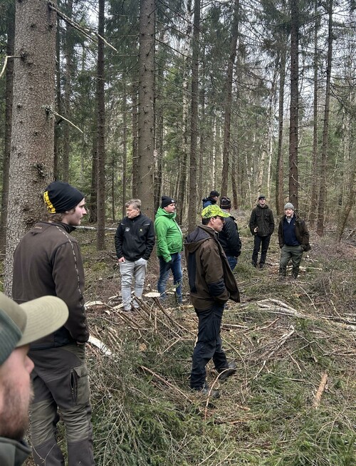 Här diskuteras det om gallring och risning av stickväg.