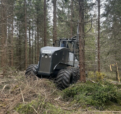 Gallring med skördaren Malwa 980.
