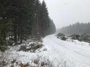 2. Nästa bild är från när skördningen har kommit halvvägs.