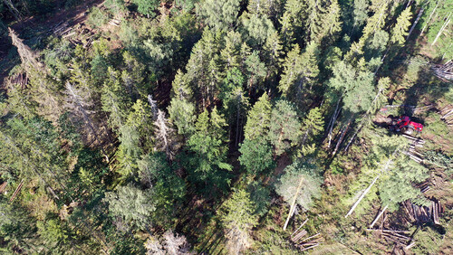 Foto: Anders Ehrenström.