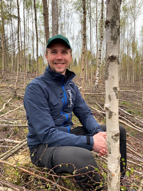 Sydvedaren André är glad när förutsättningen för bra diametertillväxt är skapad!