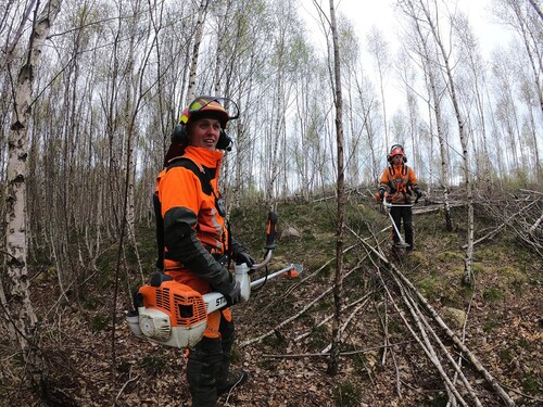 Bakom Freddy, som står till vänster, syns den oröjda björkföryngringen. Fabian står i det färdigröjda beståndet.