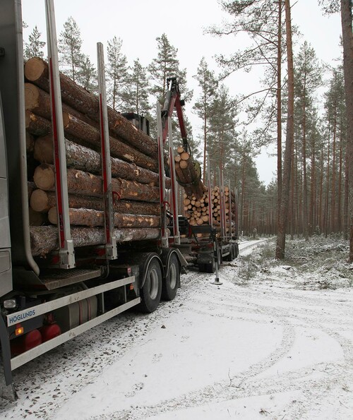 En fullastad timmerbil mäter 24 meter och väger 64 ton, vilket kan jämföras med 40 personbilar. För att skogsbilvägen ska vara funktionell måste den möta en rad olika praktiska krav. Vägen bör vara framkomlig året runt och i alla väder, samt erbjuda bra sväng- och vändmöjligheter. Detta för att säkra möjlighet till avverkning när det passar din skog!