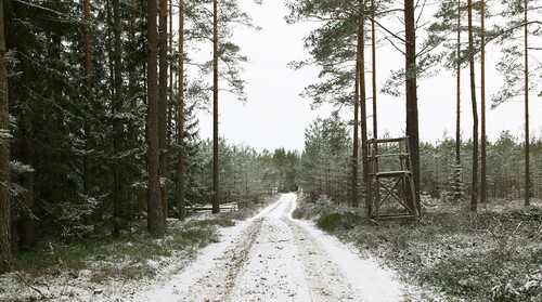 Rakt och brett ska det vara, som på den här fina, nyligen åtgärdade skogsbilvägen hos en av våra leverantörer söder om Jönköping. För snäva kurvor och för dåliga vändmöjligheter är annars de vanligaste problemen på skogsbilvägar.