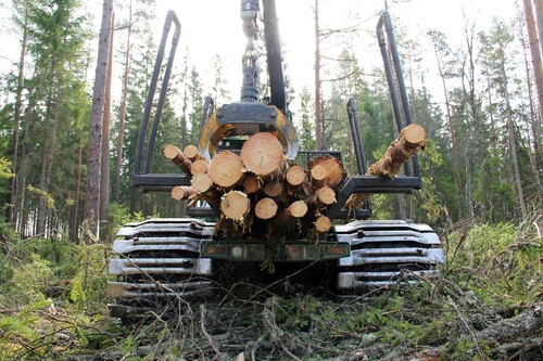 Både skördaren och skotaren är utrustade med breda bärande band på hjulen.