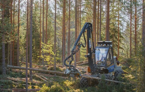 Foto: Lasse Arvidson