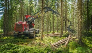 Foto: Lasse Arvidson