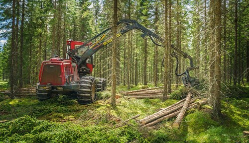 Foto: Lasse Arvidson