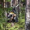 Skördaraggregat vid avverkning