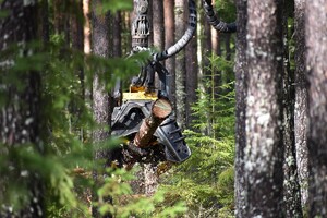 Skördaraggregat vid avverkning