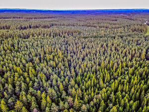 Foto: Anders Ehrenström