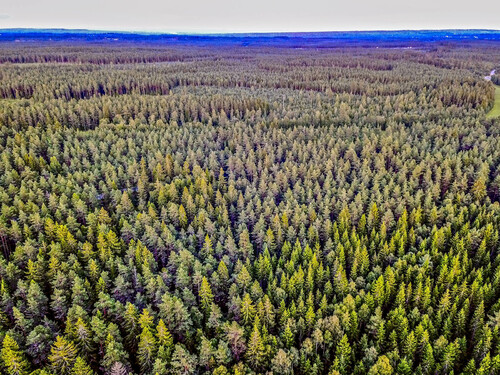 Foto: Anders Ehrenström