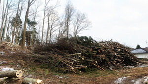 Grothögar kan se olika ut, men bäst utbyte får man av olika dimensioner.