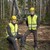 Edvin och Christian städar upp efter stormen Johannes, på uppdrag av Sydved. Det är främst tallar som blåst ned.