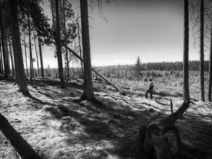 Foto: Mattias Svensson