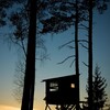 Jakttorn som lyses upp av solen