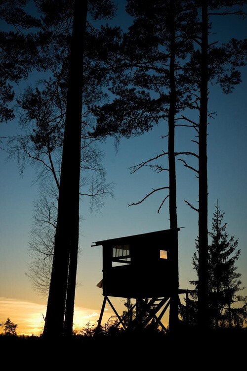 Jakttorn som lyses upp av solen