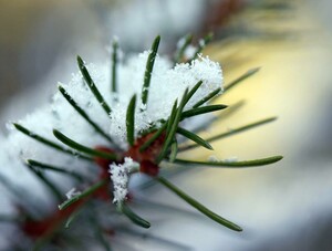 Foto: Kerstin Jonsson