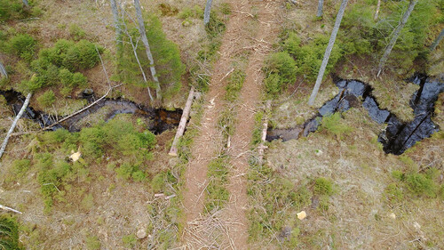När man avverkar nära bäckar och annat vatten måste man vara extra noggrann och planera körningen så att inte vattenmiljön riskerar att påverkas. Här en bro som är byggd av timmer och massaved från avverkningen.