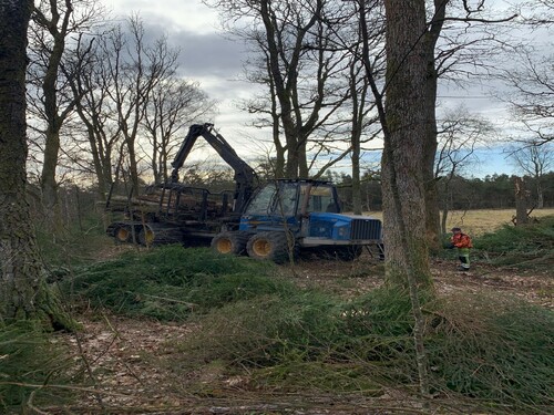 Rottne F15C med extra breda band.