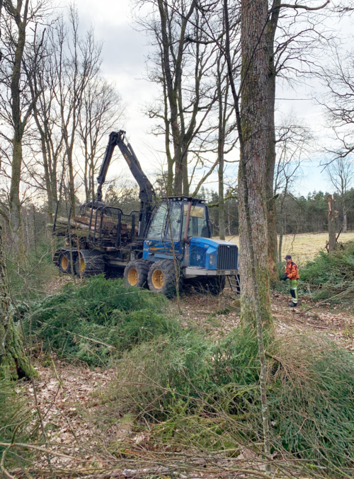 Rottne F15C med extra breda band.