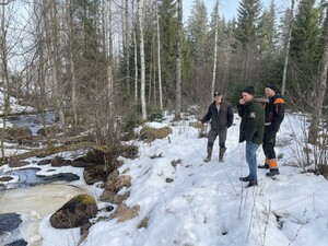 Mötet inför avverkning