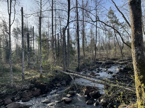 Resultatet efteråt.