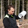 Mattias Sparf på Skogsstyrelsen tömmer en övervakningsfälla som visar att granbarkborrarna börjat svärma.