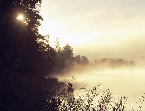 Foto: Hasse Bengtsson