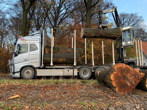 Övergrova boktimmerstockar lastas på timmerbilen. Endast sju stockar fick plats viktmässigt, trots att där var gott om plats på höjden. Tyngsta stocken vägde 2,2 ton. Chauffören på Skogslogistik hälsar att det gäller att ha tungan rätt i mun vid lastning av bitar som dessa.