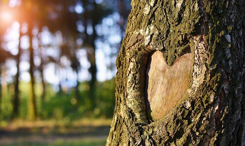 Foto: Adobe Stock