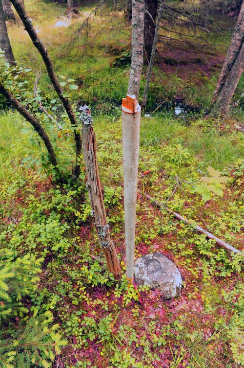 Gränsmarkeringar från tre generationer: gammal trästolpe, vit stolpe i plast och råsten.
