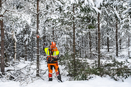 Kedjeröjsågen är ergonomisk och passar bra när man behöver röja på högre höjd, till exempel såga bort grenar, eller ta sig an lite grövre stammar.