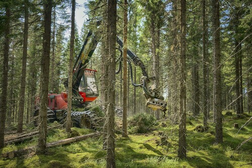 Innan avverkningen planerar virkesköparen för basvägar, natur-och kulturhänsyn, upplagsplats med mera. Det ger ett bättre resultat och minimerar risken för effekter på mark och vatten.
