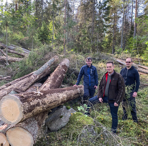 Barkborretimmer ska lastas på båt i Oskarshamn, och skeppas till Tyskland. Sydvedarna Tobias Cederlöf och Lukas Sjödahl med Matthias Markwort på lim Nordic Timber i mitten.